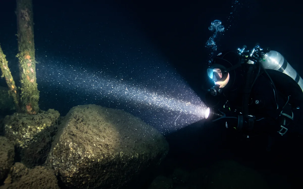 Curso de Buceo Nocturno (Night Diver) FAAS