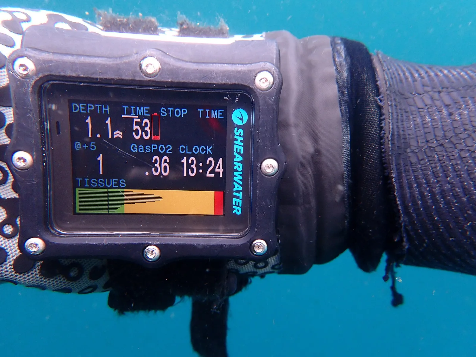 Buceos repetitivos e intervalo de superficie | buceo.co