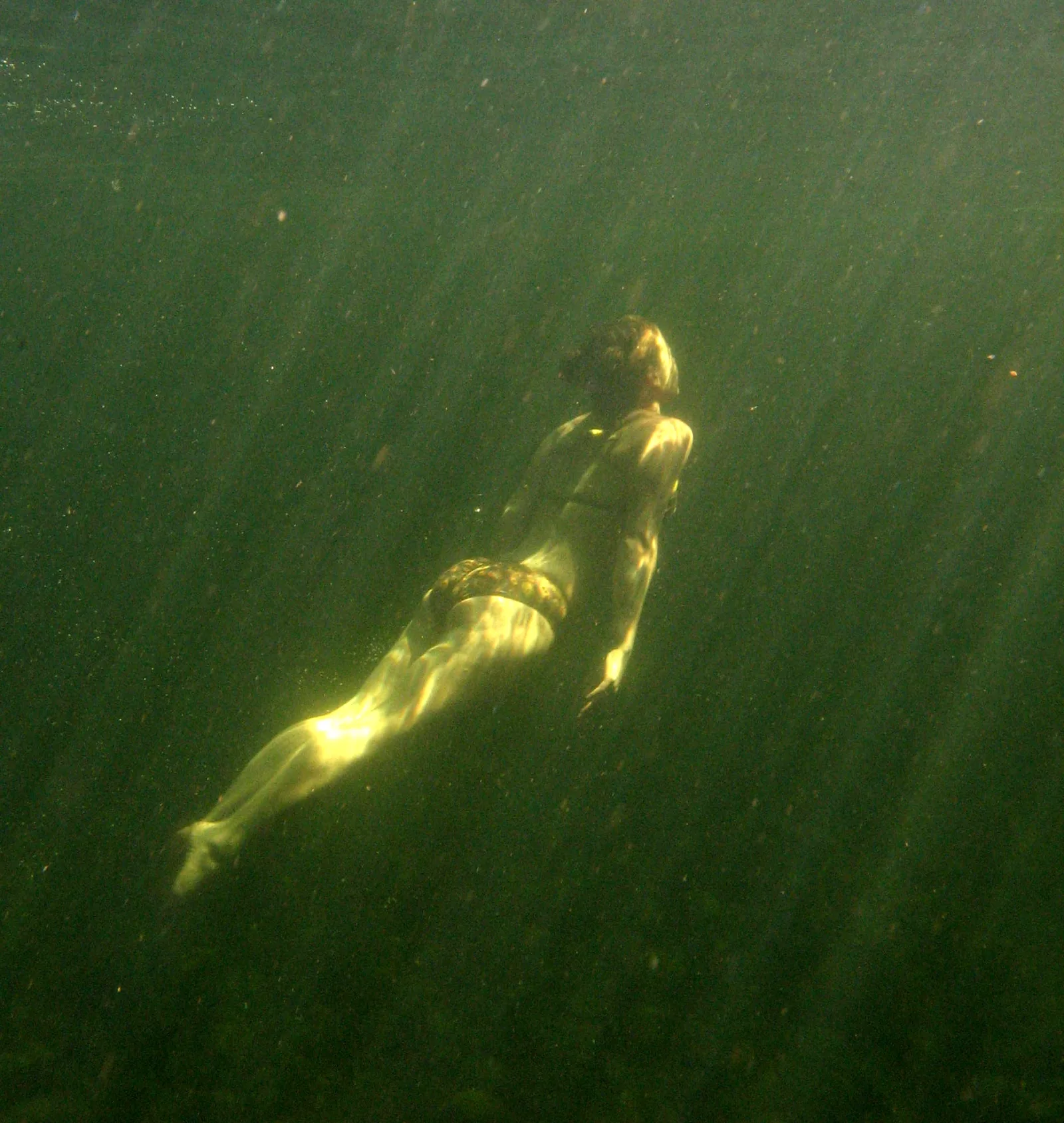 Qué es la apnea: guía de freediving para empezar