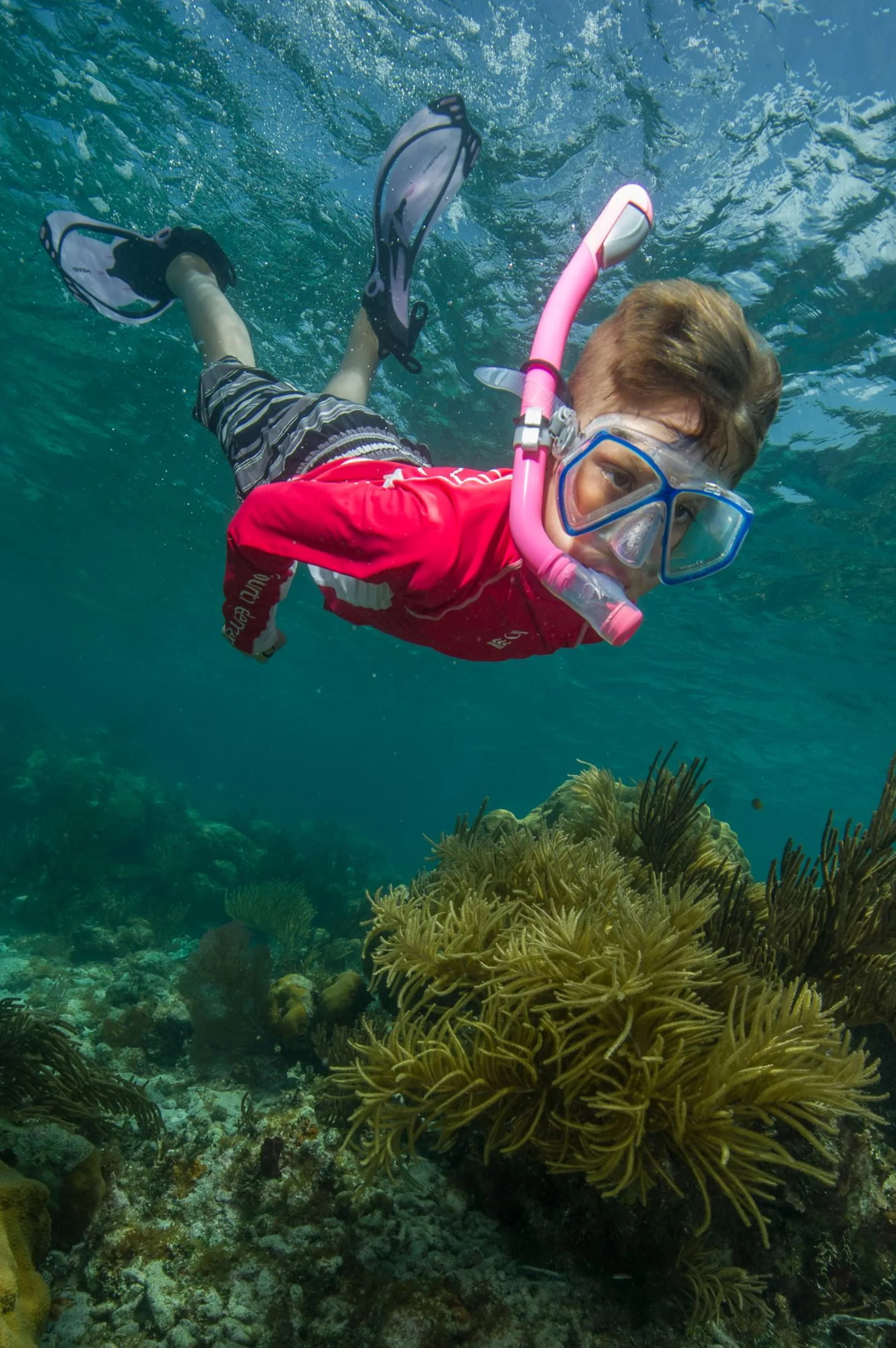 Buceo para niños y en familia: a qué edad empezar