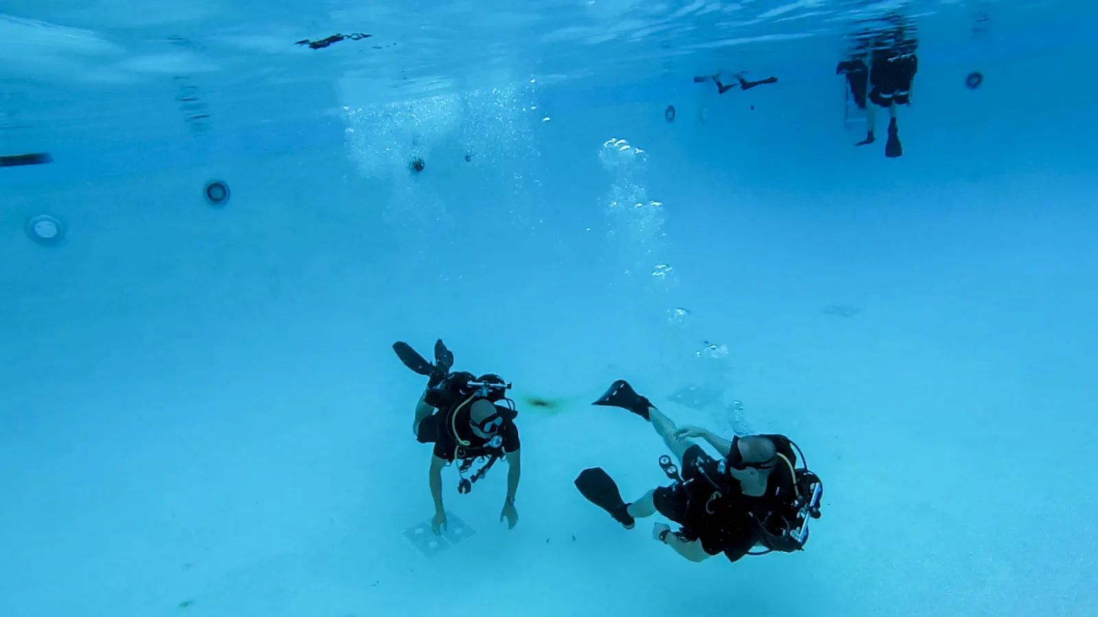 Certificación de Buceo y Prefectura Naval: la habilitación