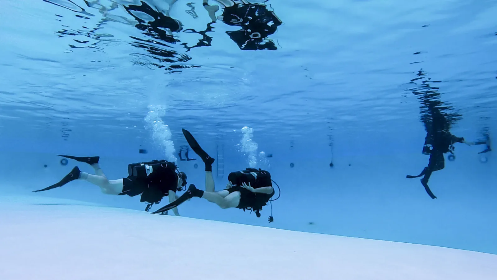 Mejor escuela de buceo en Córdoba: cómo elegir bien