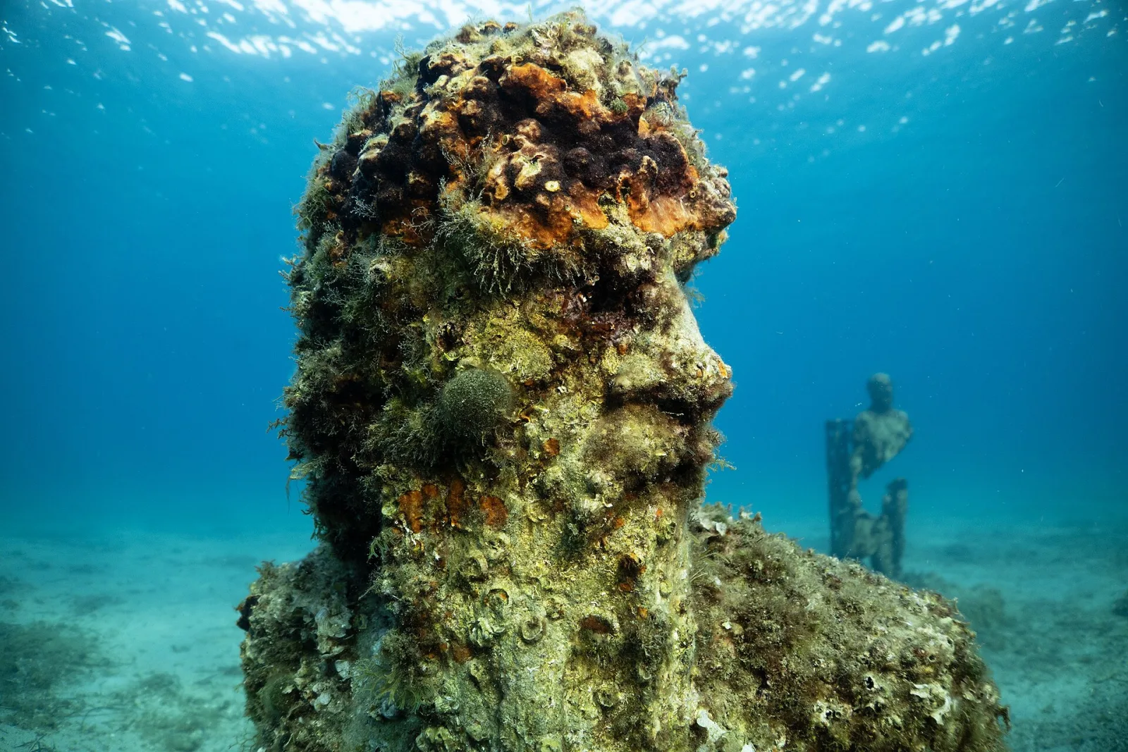 Mejor cámara para fotografía submarina: guía por categorías
