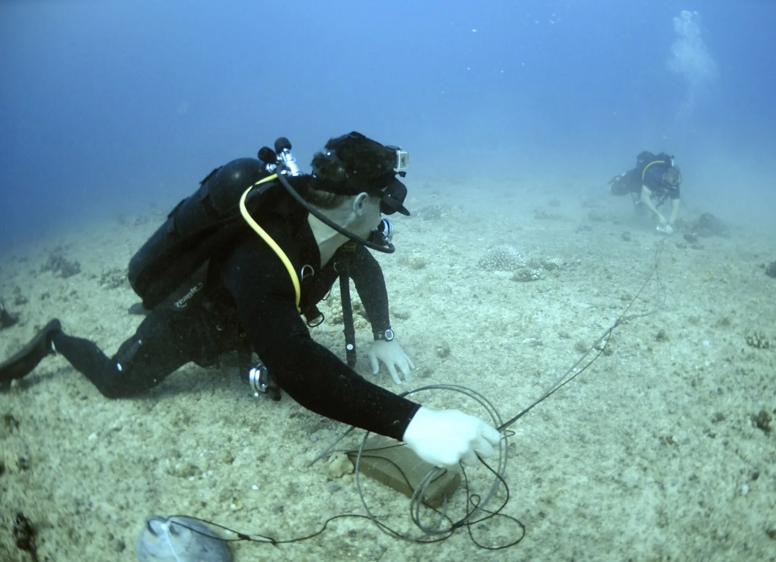 Seguro de buceo DAN Argentina: por qué viajar cubierto