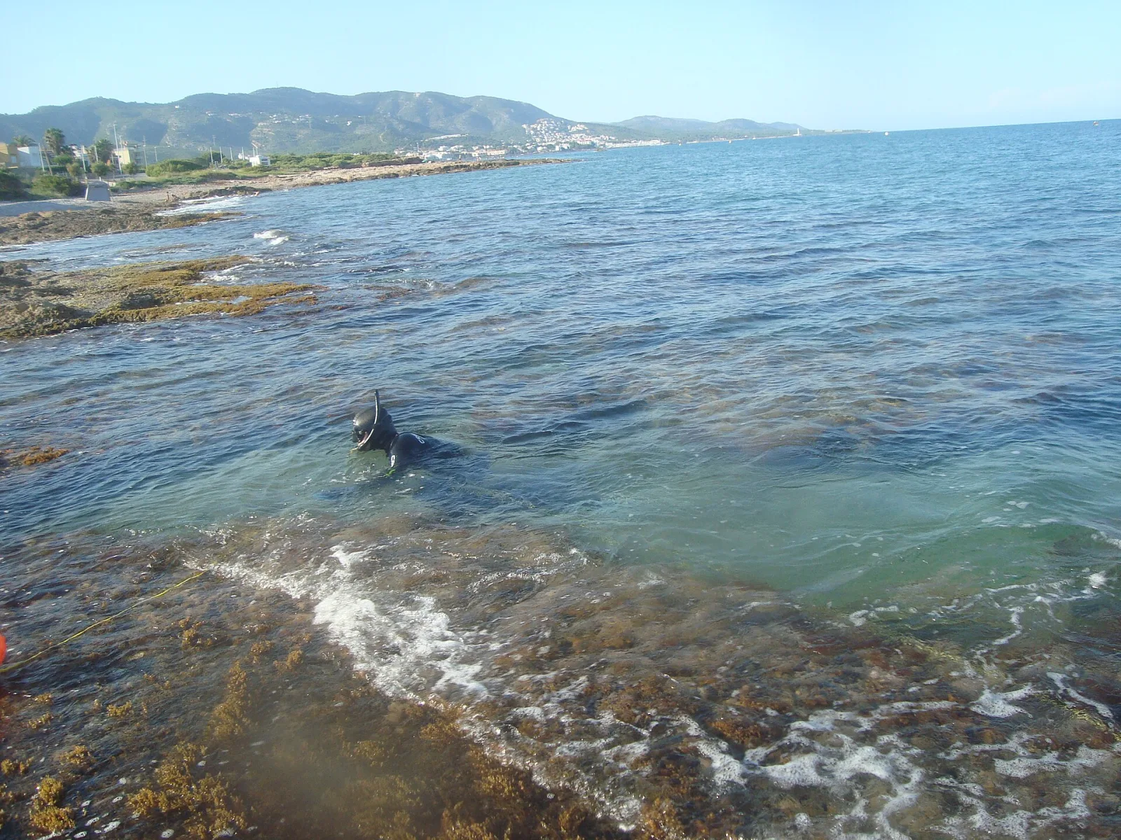 Snorkel en familia: la puerta de entrada al mundo subacuático