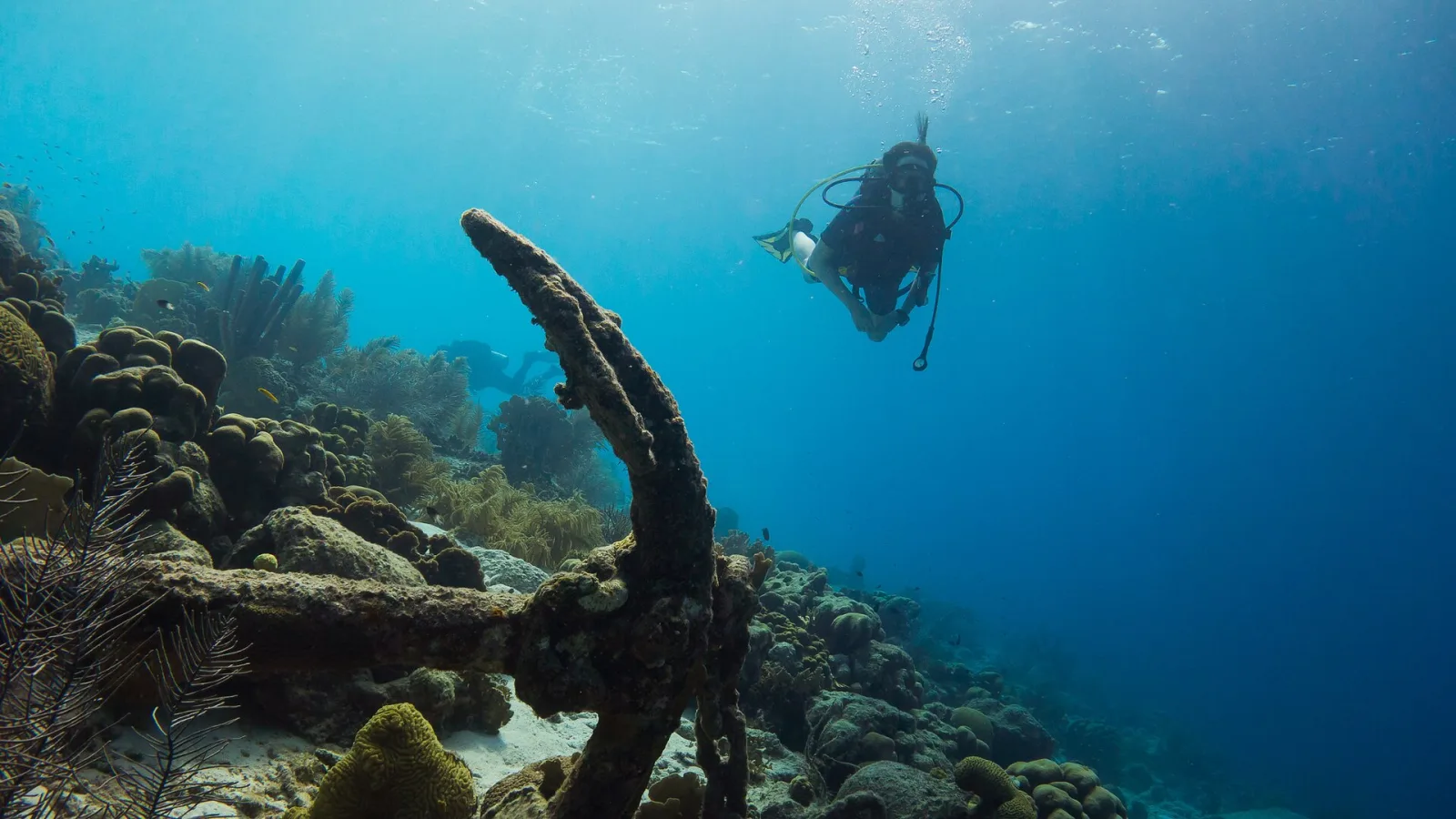 Viaje de buceo a Bonaire desde Argentina (2027)